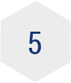 The number of IB workshop leaders and authorisation members